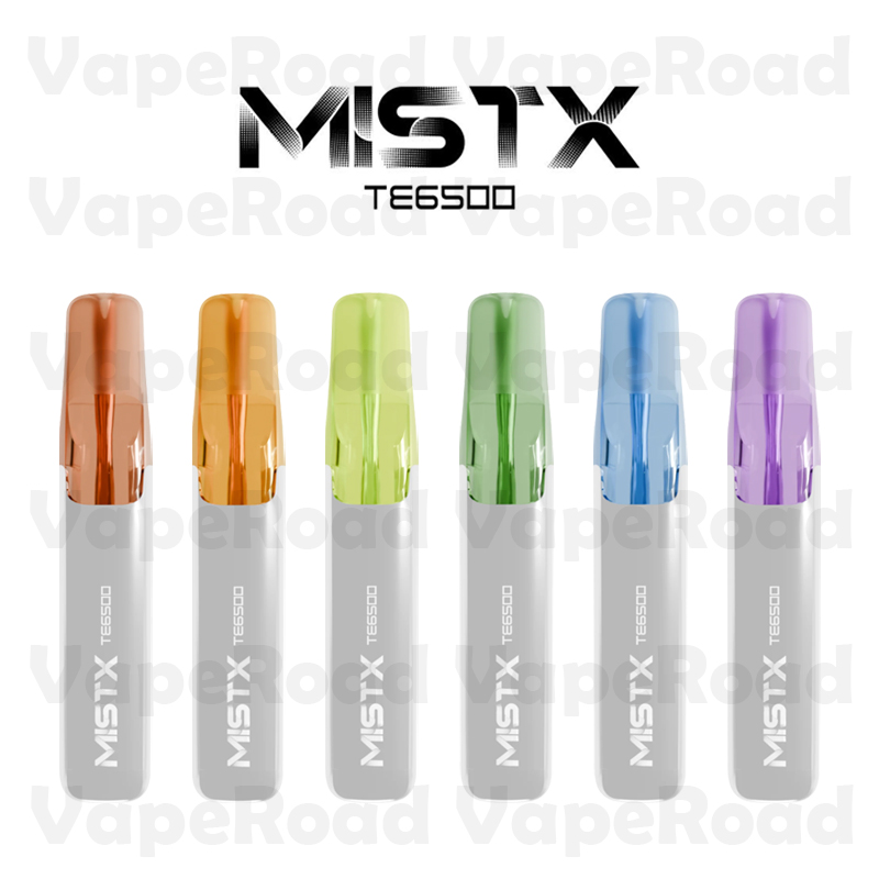 MIST-X TE6500 鴨嘴獸 一次性電子煙｜6500 口・陶瓷芯・可重複充電